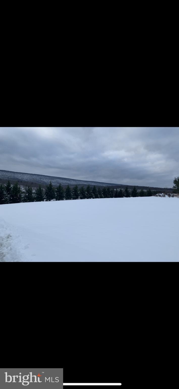 CACAPON SOUTH - Residential