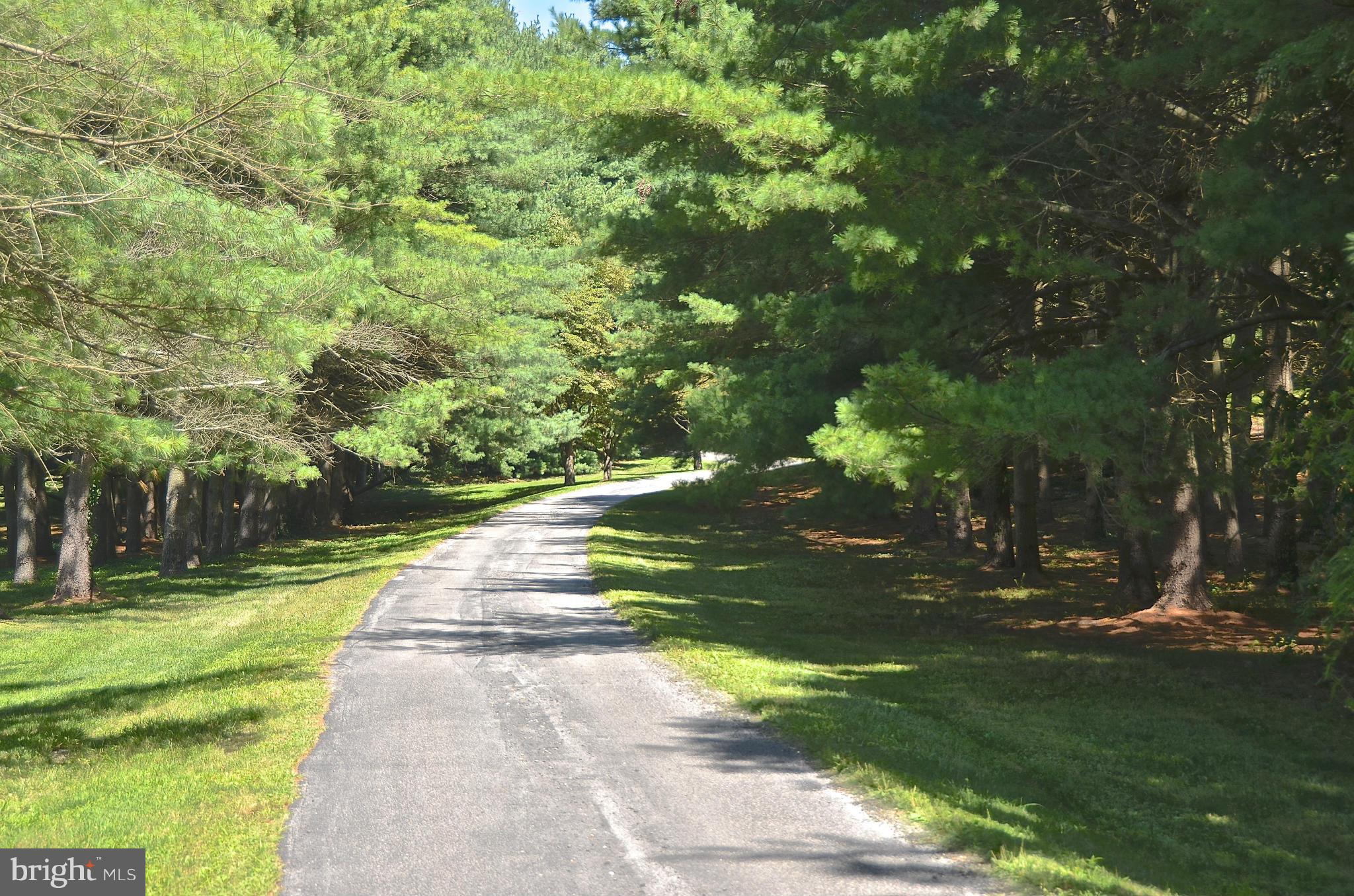 REGULARS - Residential Lease