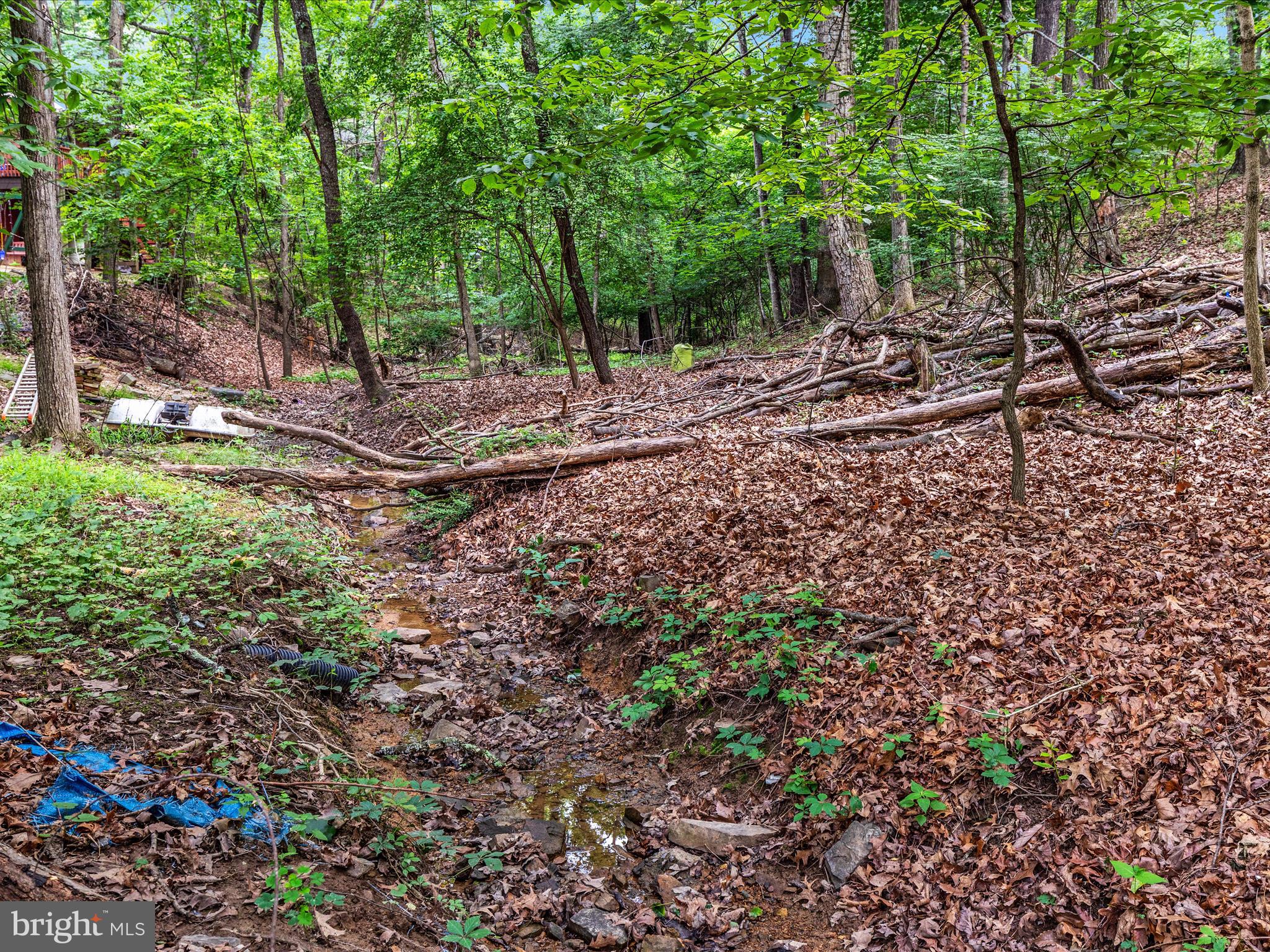 LAKE HOLIDAY ESTATES - Residential