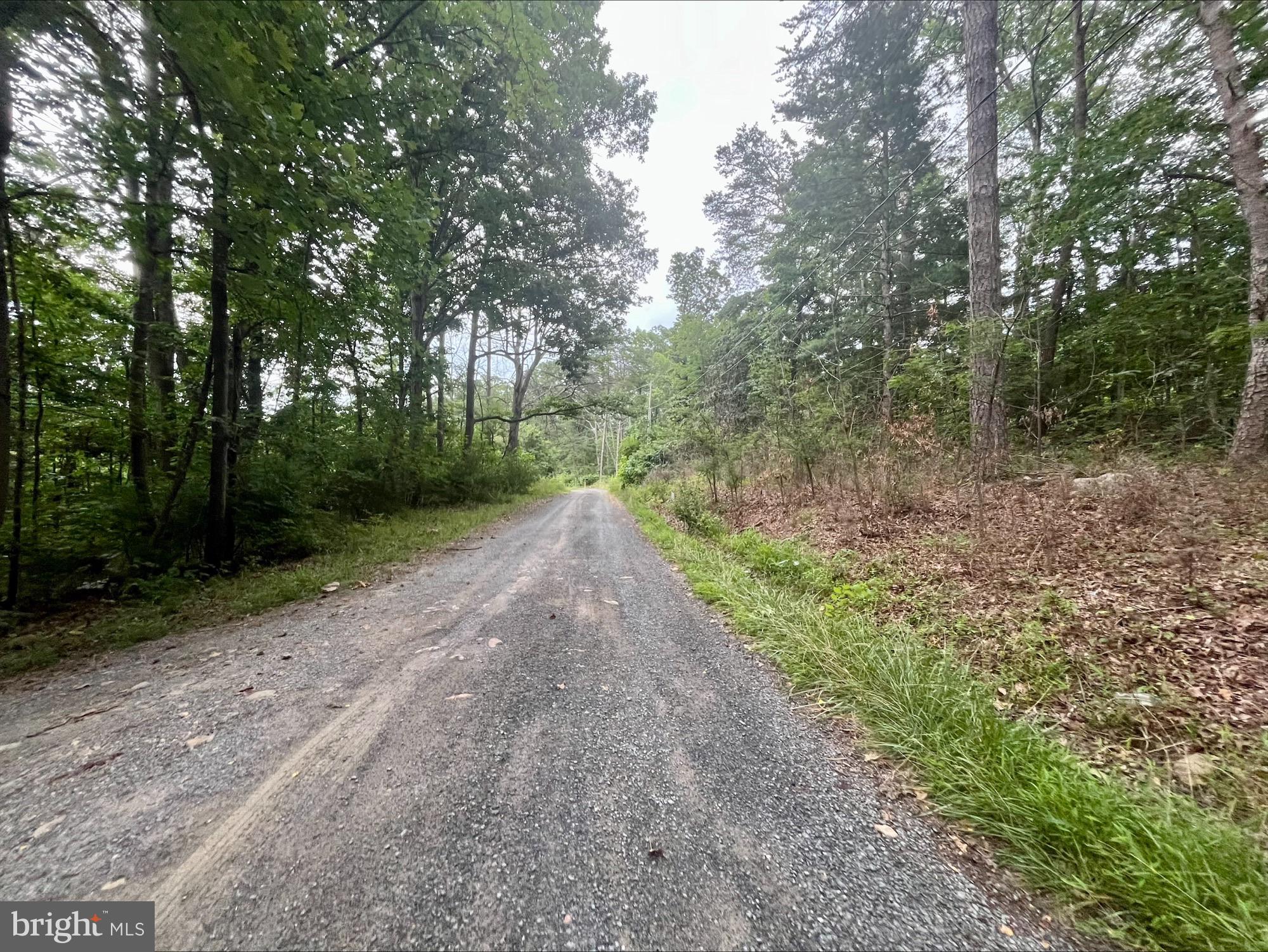 OAK LANE