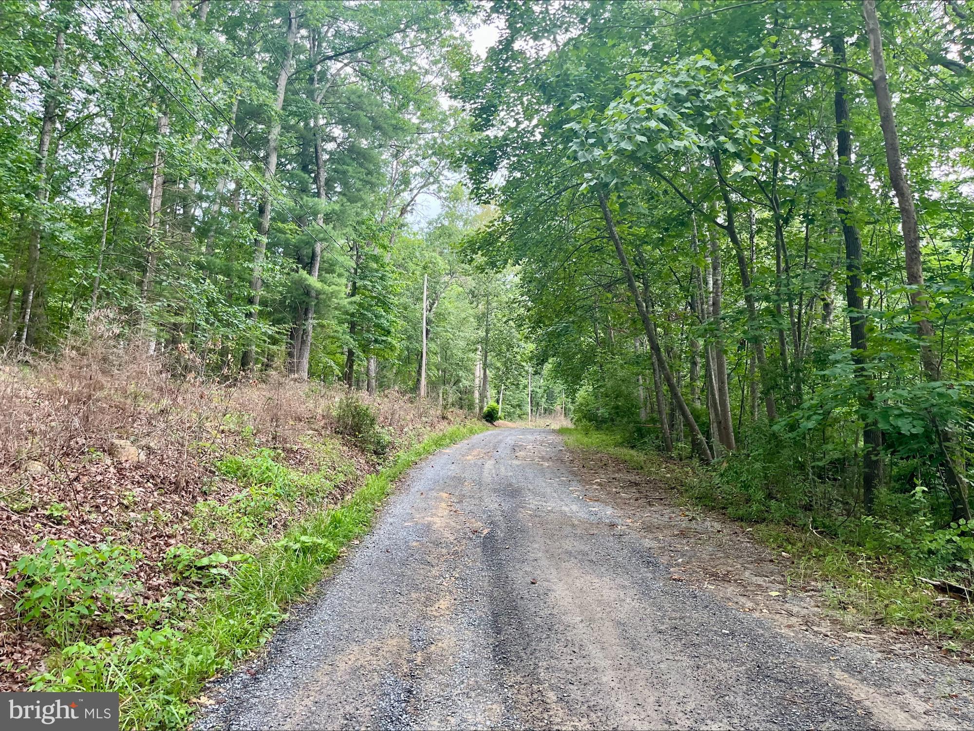 OAK LANE