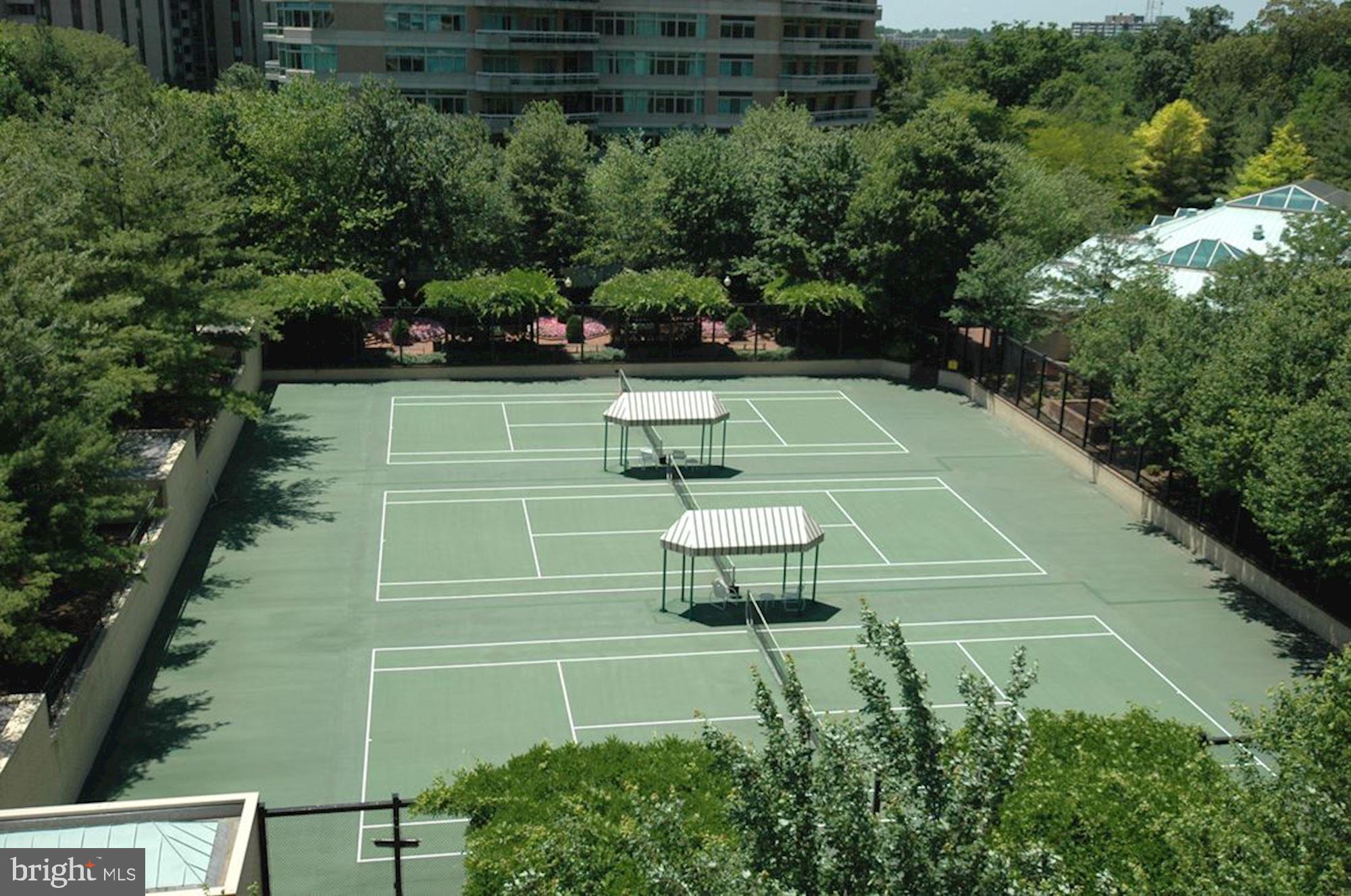 SOMERSET HOUSE CONDOS - Residential