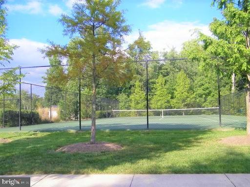 BELMONT GREENE - Residential