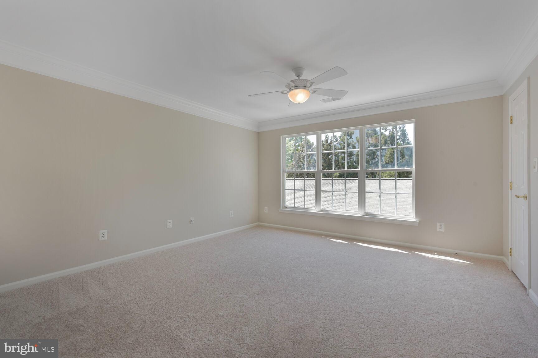 BELMONT GREENE - Residential