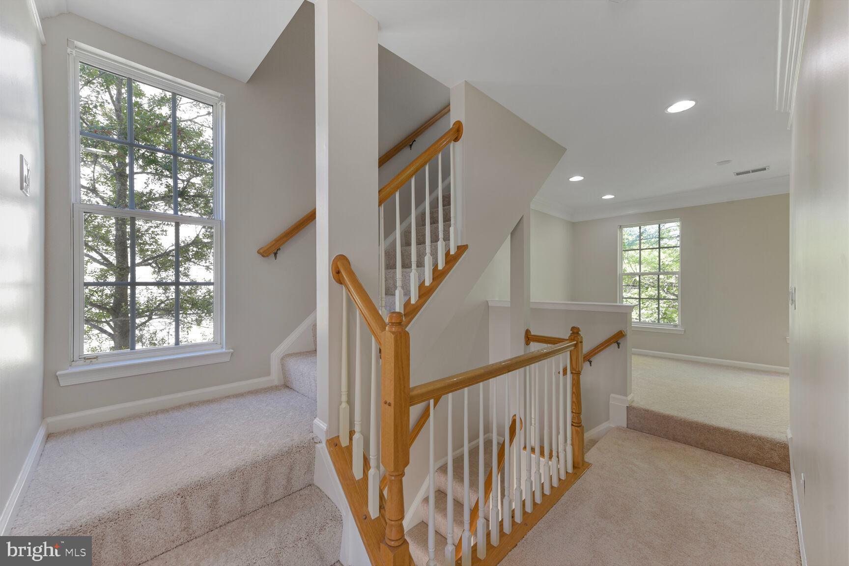 BELMONT GREENE - Residential