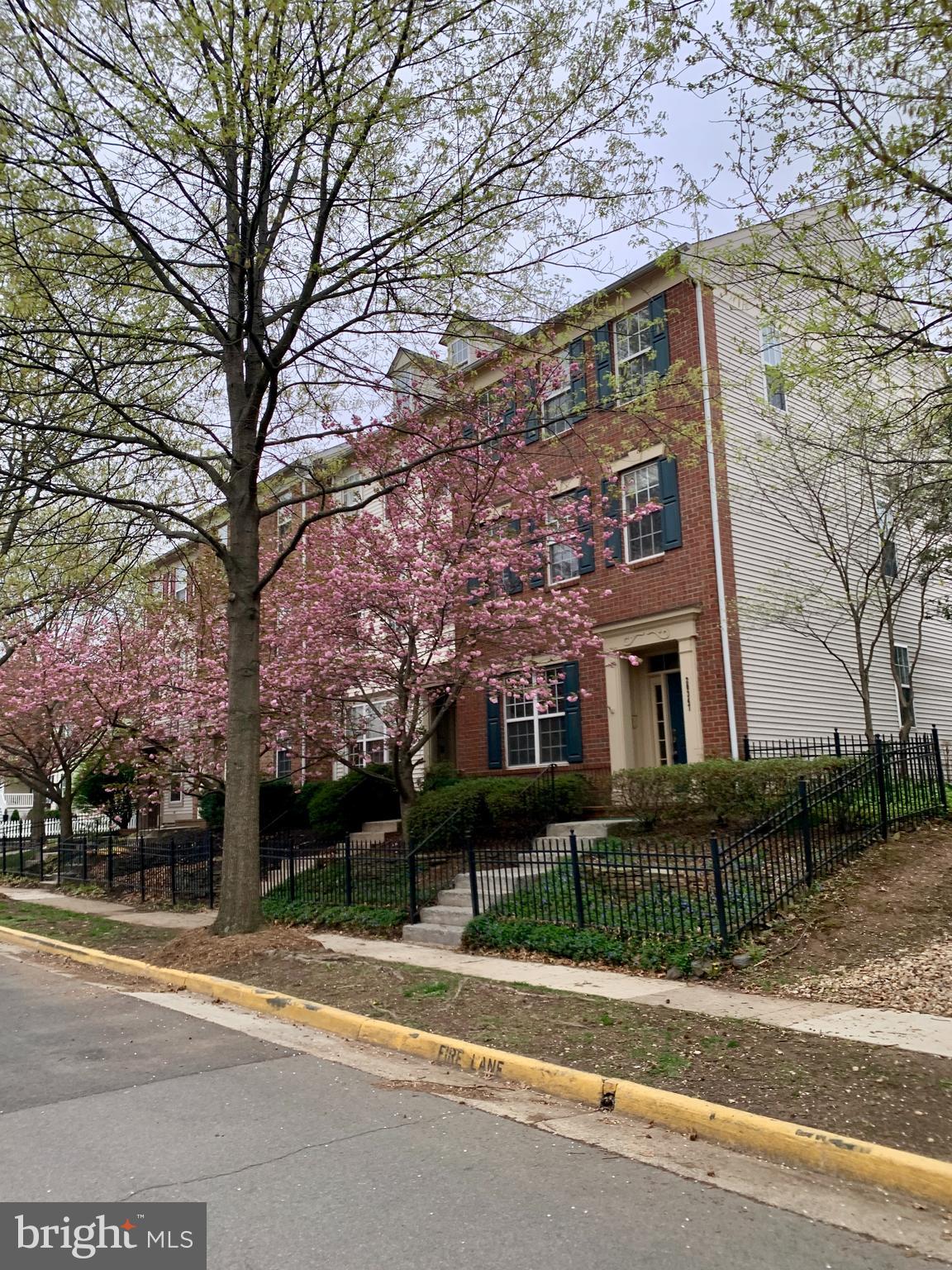 BELMONT GREENE - Residential