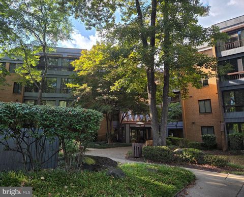 6350 RED CEDAR PLACE 309 BALTIMORE MD 21209