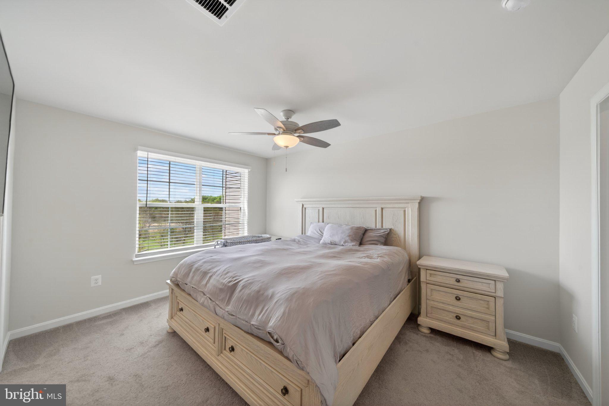 NORBORNE GLEBE - Residential