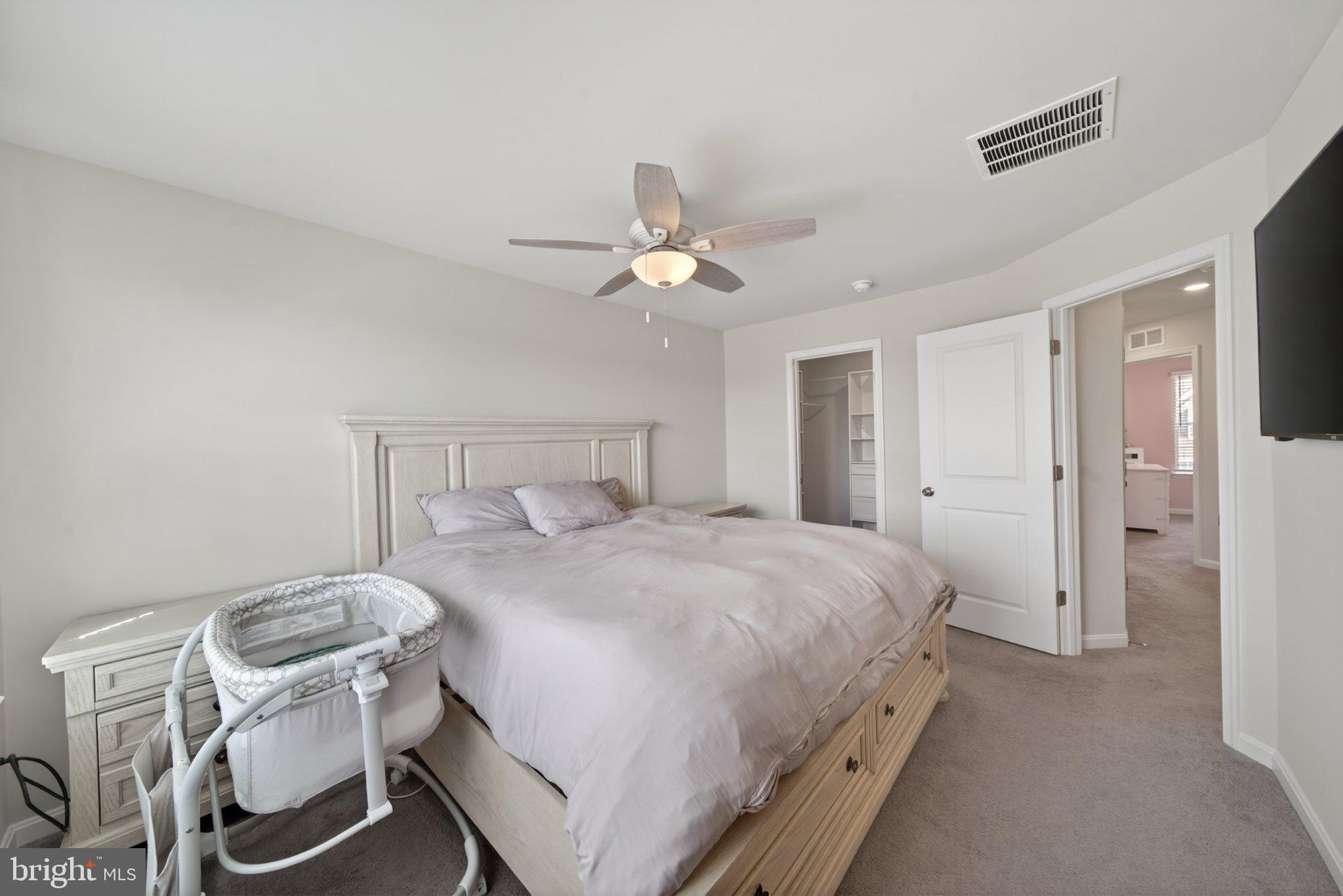 NORBORNE GLEBE - Residential