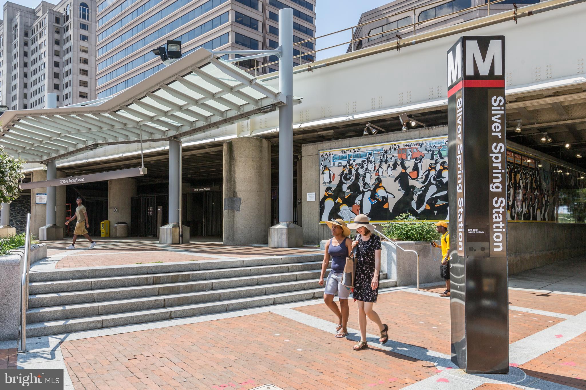 8045 AT SILVER SPRING METRO - Residential