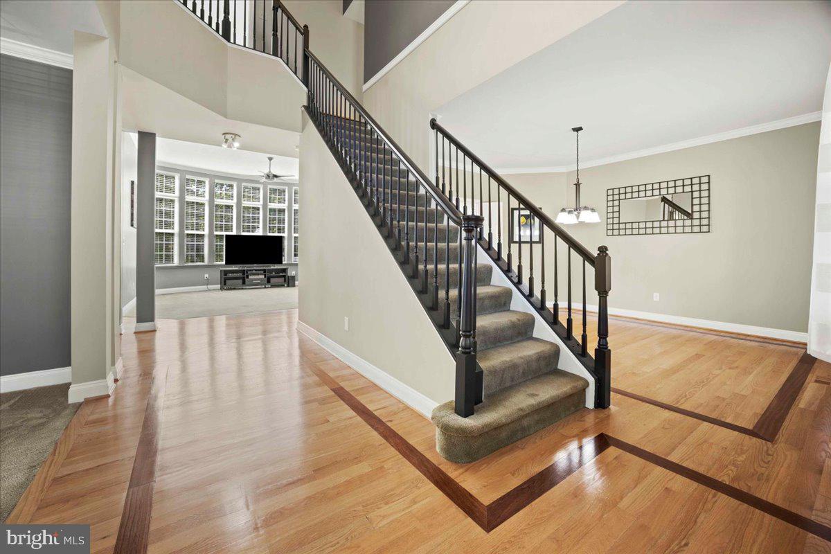 TAVISTOCK FARMS - Residential