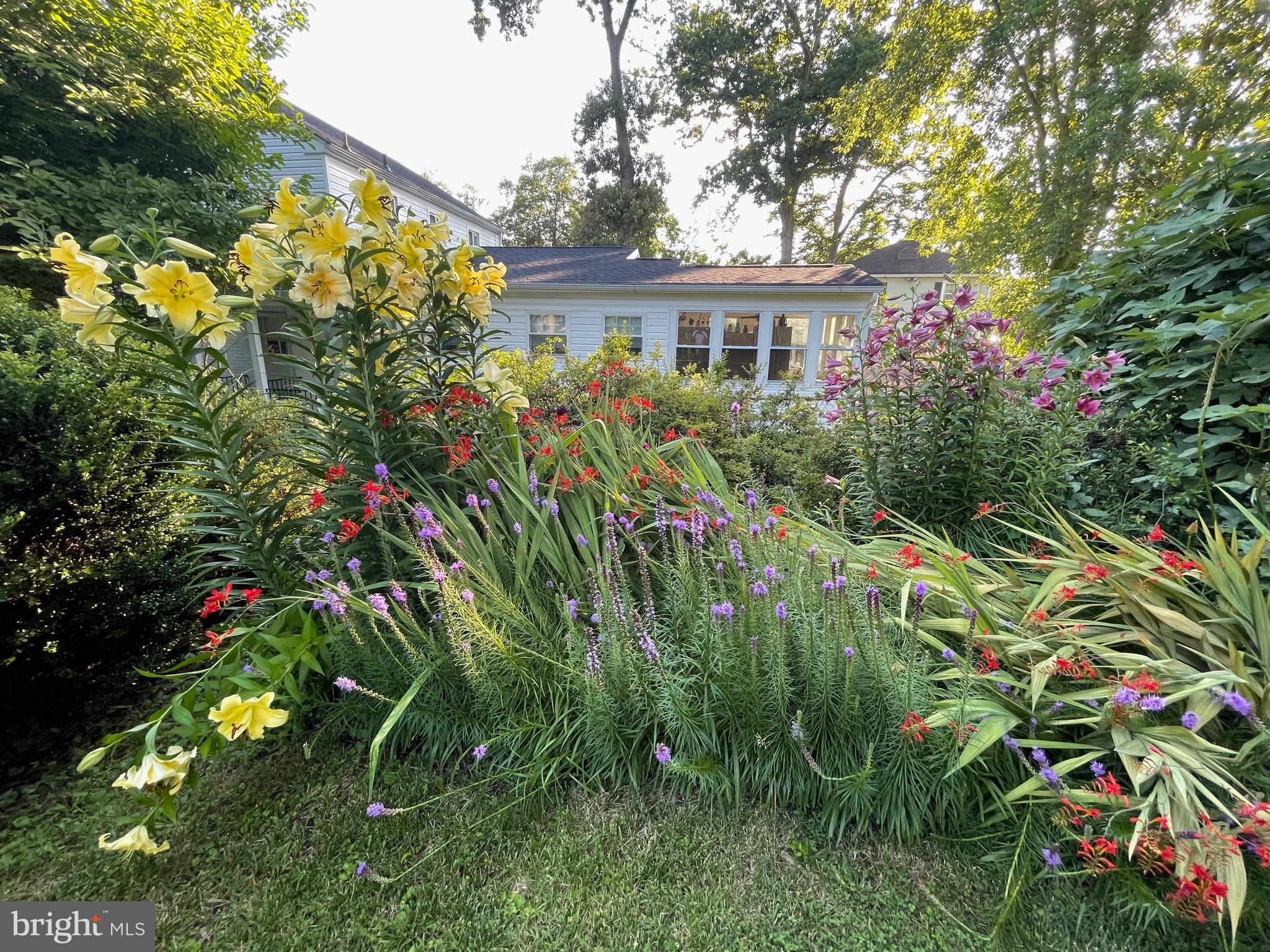 ROCK CREEK FOREST - Residential
