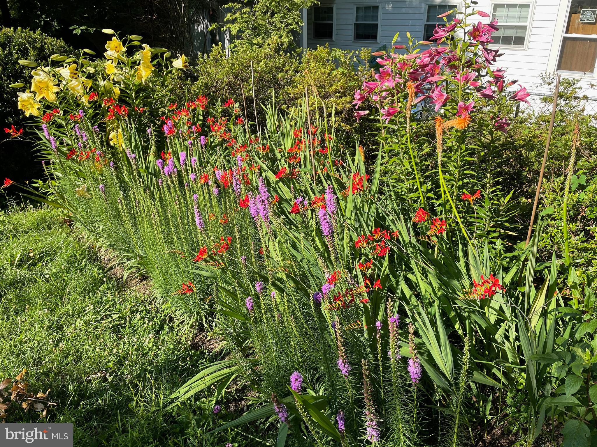 ROCK CREEK FOREST - Residential