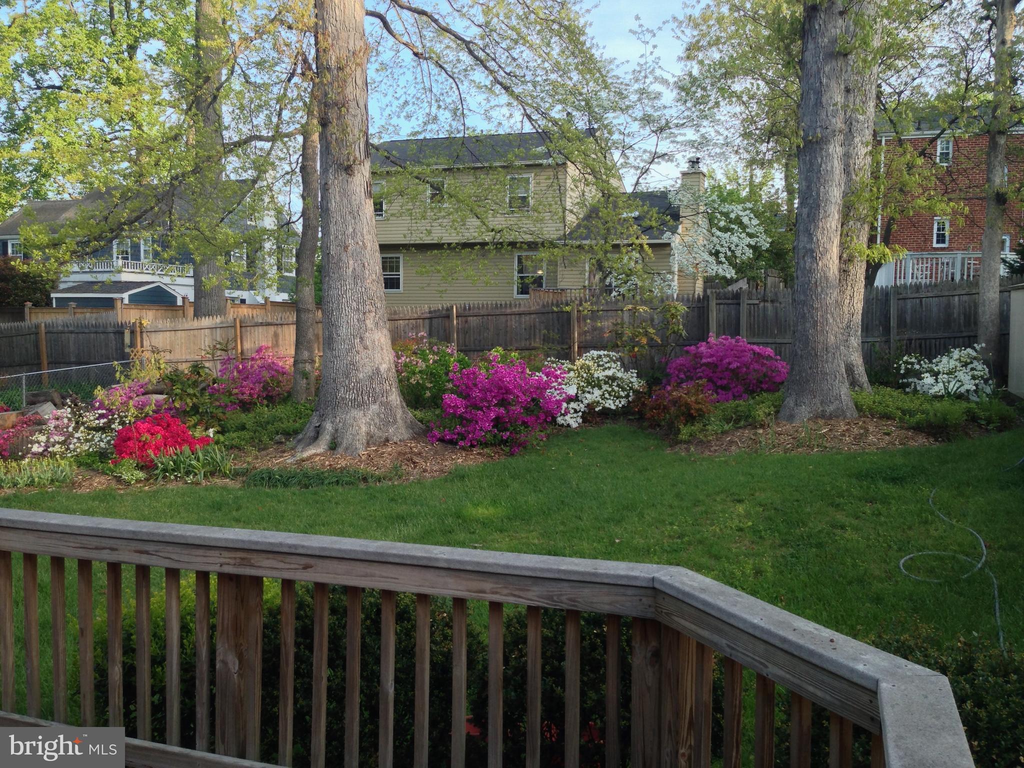 ROCK CREEK FOREST - Residential