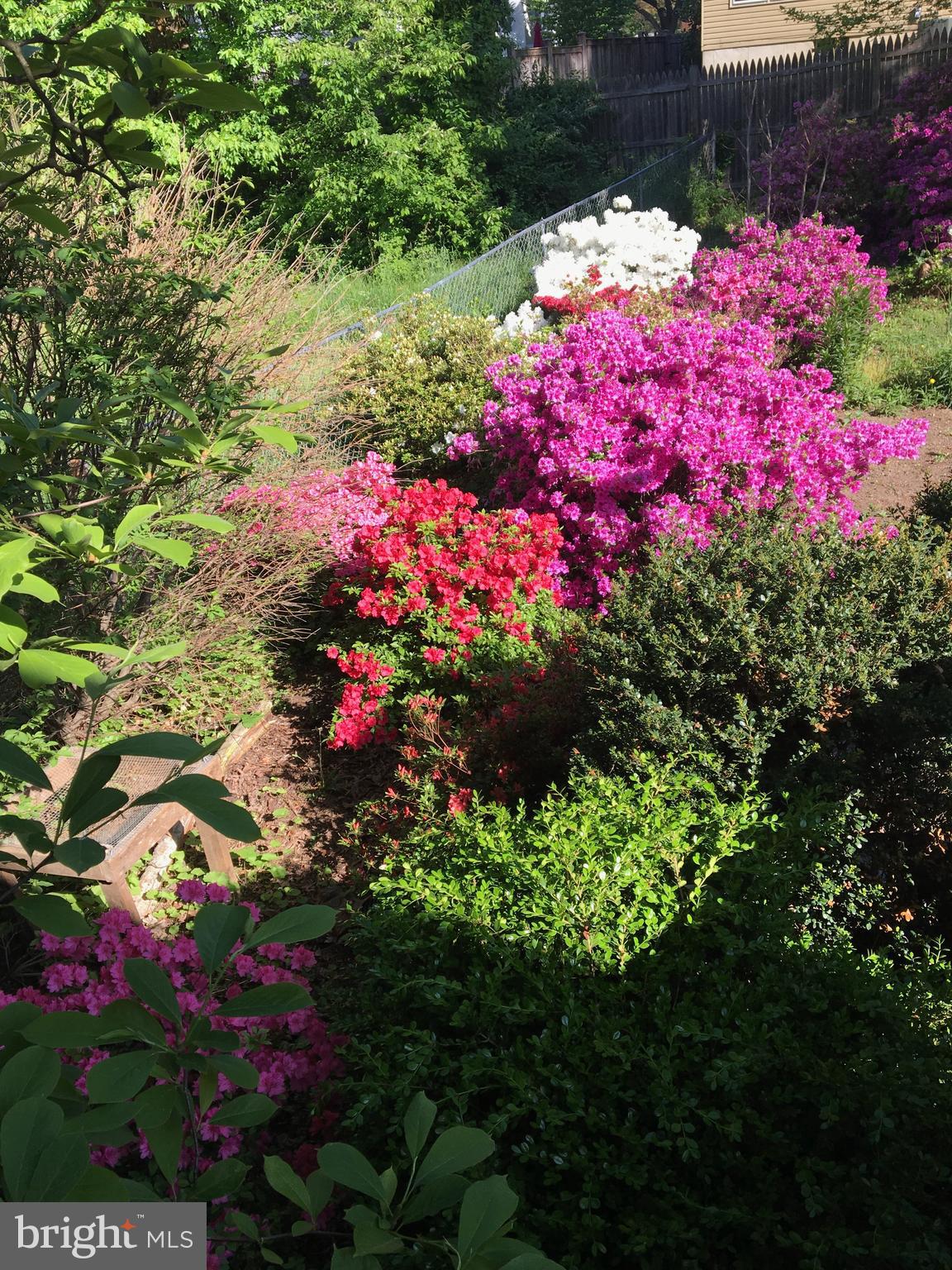 ROCK CREEK FOREST - Residential