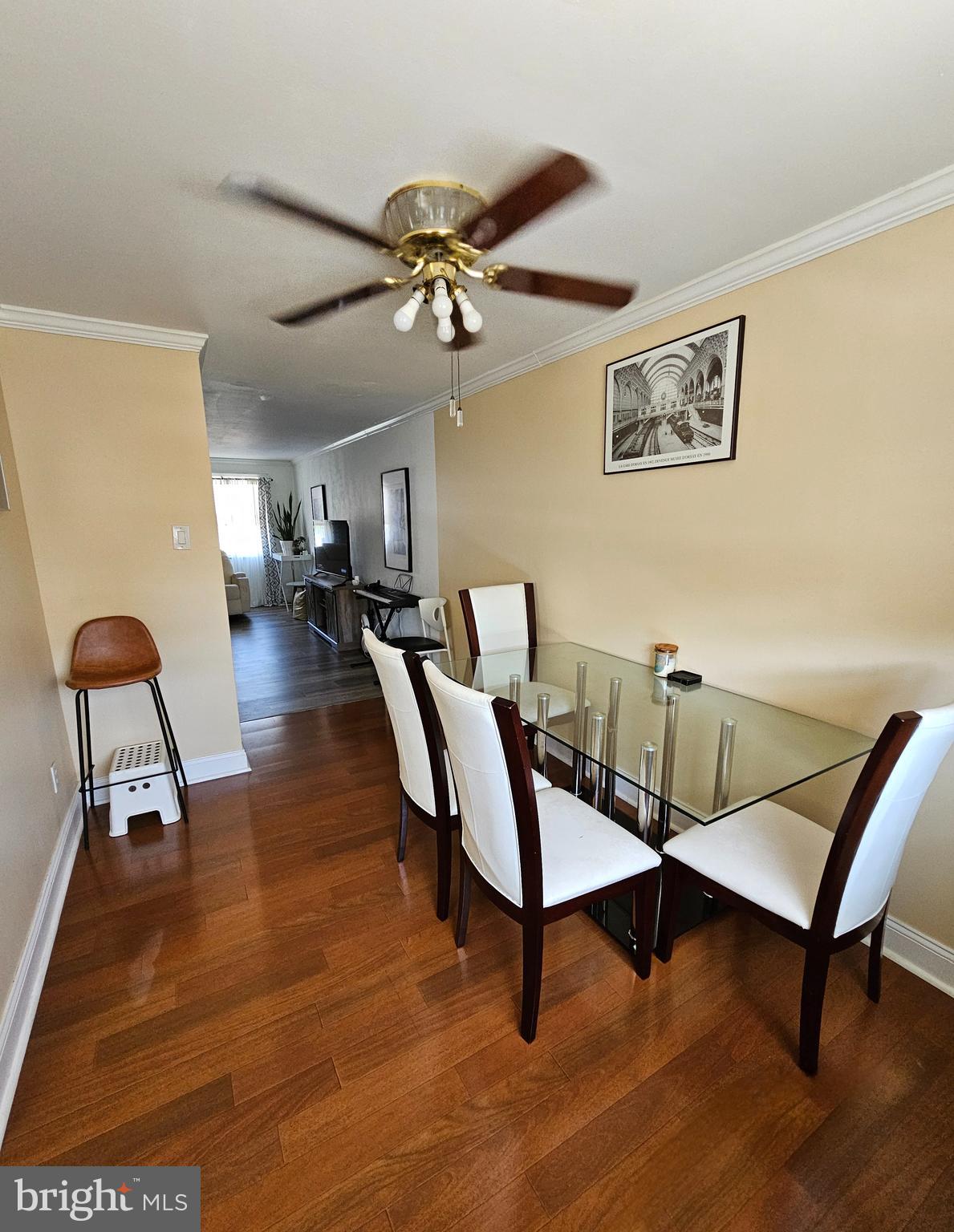 DELMAR VILLAGE - Residential