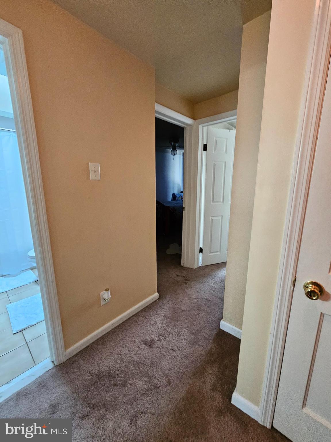 DELMAR VILLAGE - Residential