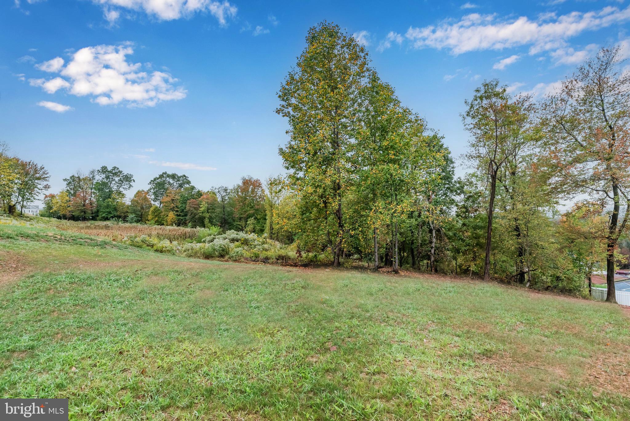 THE WOODS - Residential