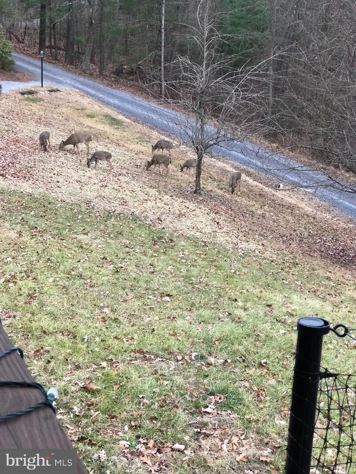 SLEEPY CREEK - Residential