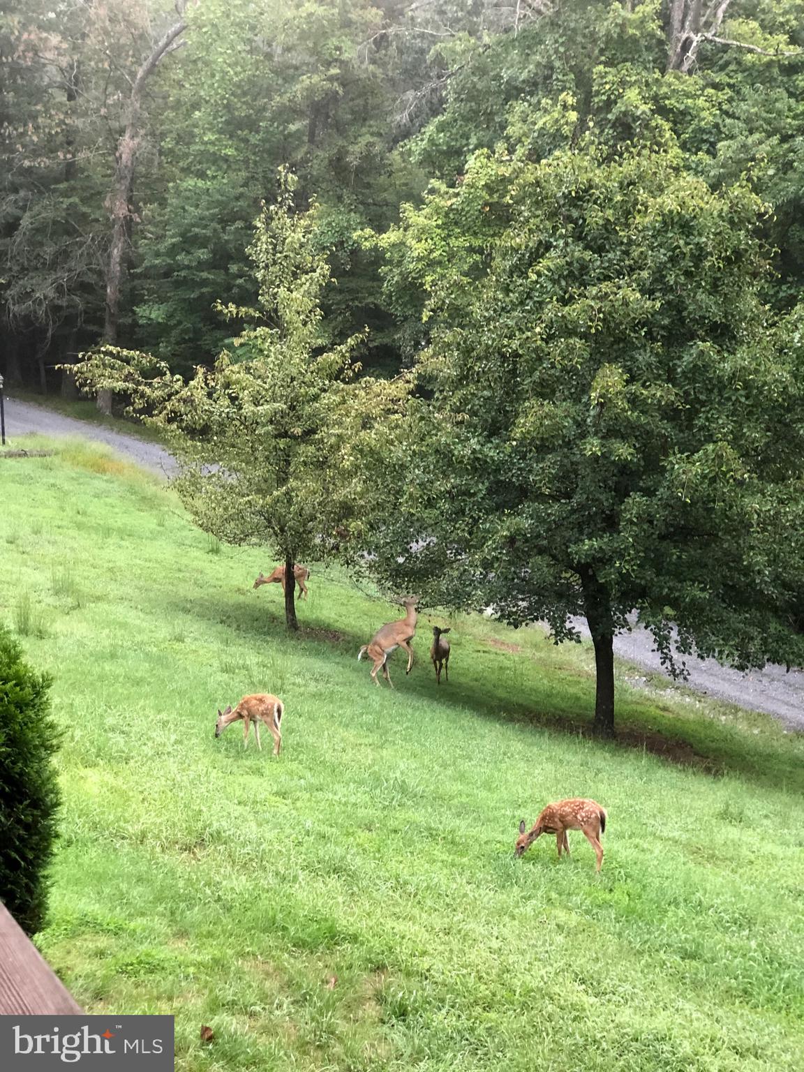 SLEEPY CREEK - Residential