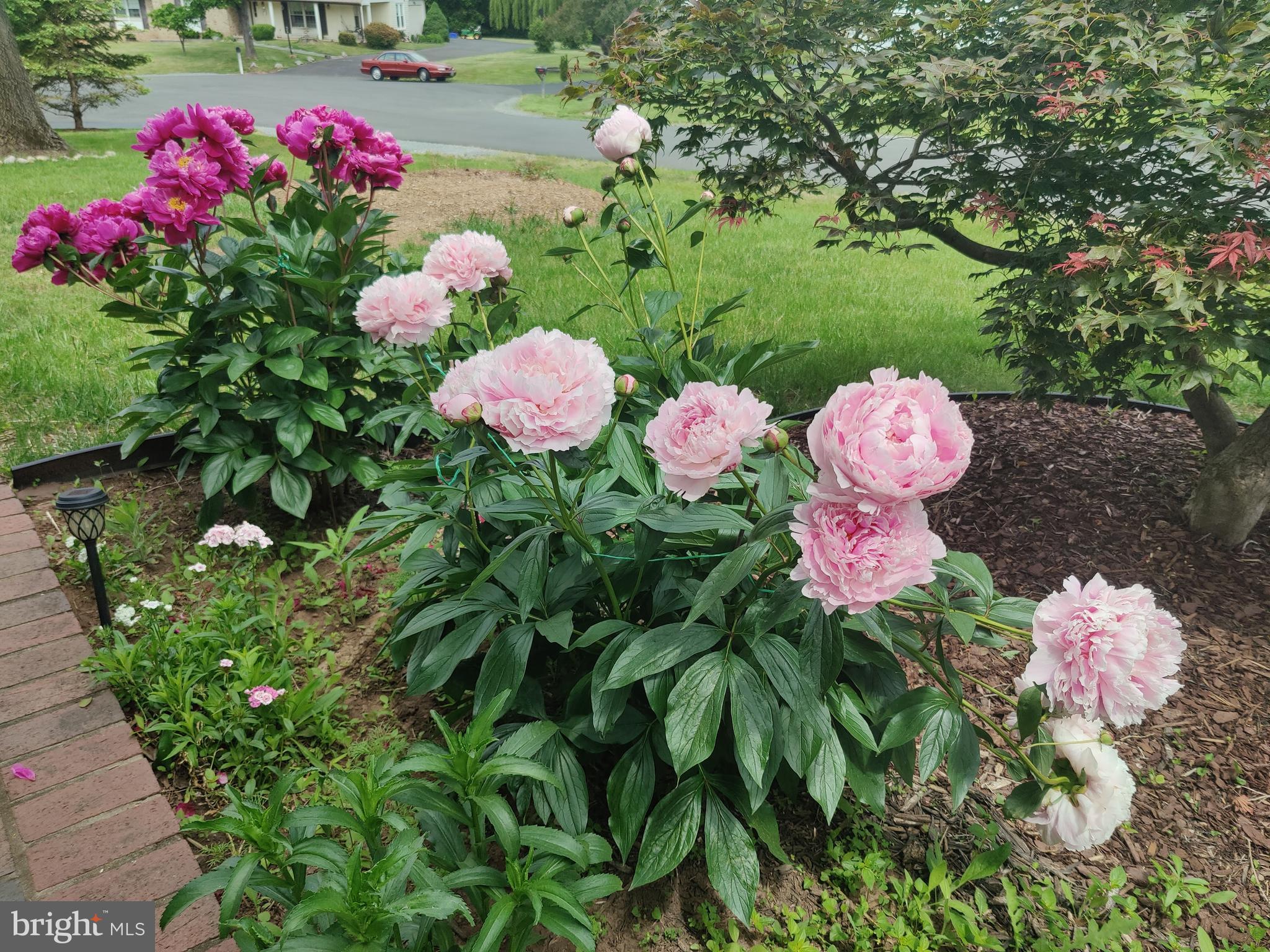 SUGAR CREEK - Residential