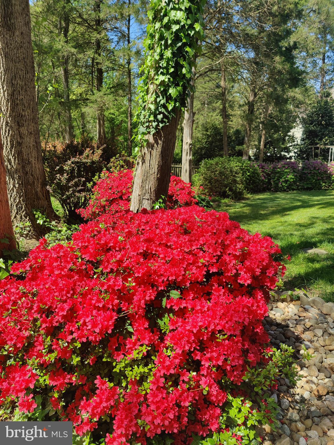 SUGAR CREEK - Residential