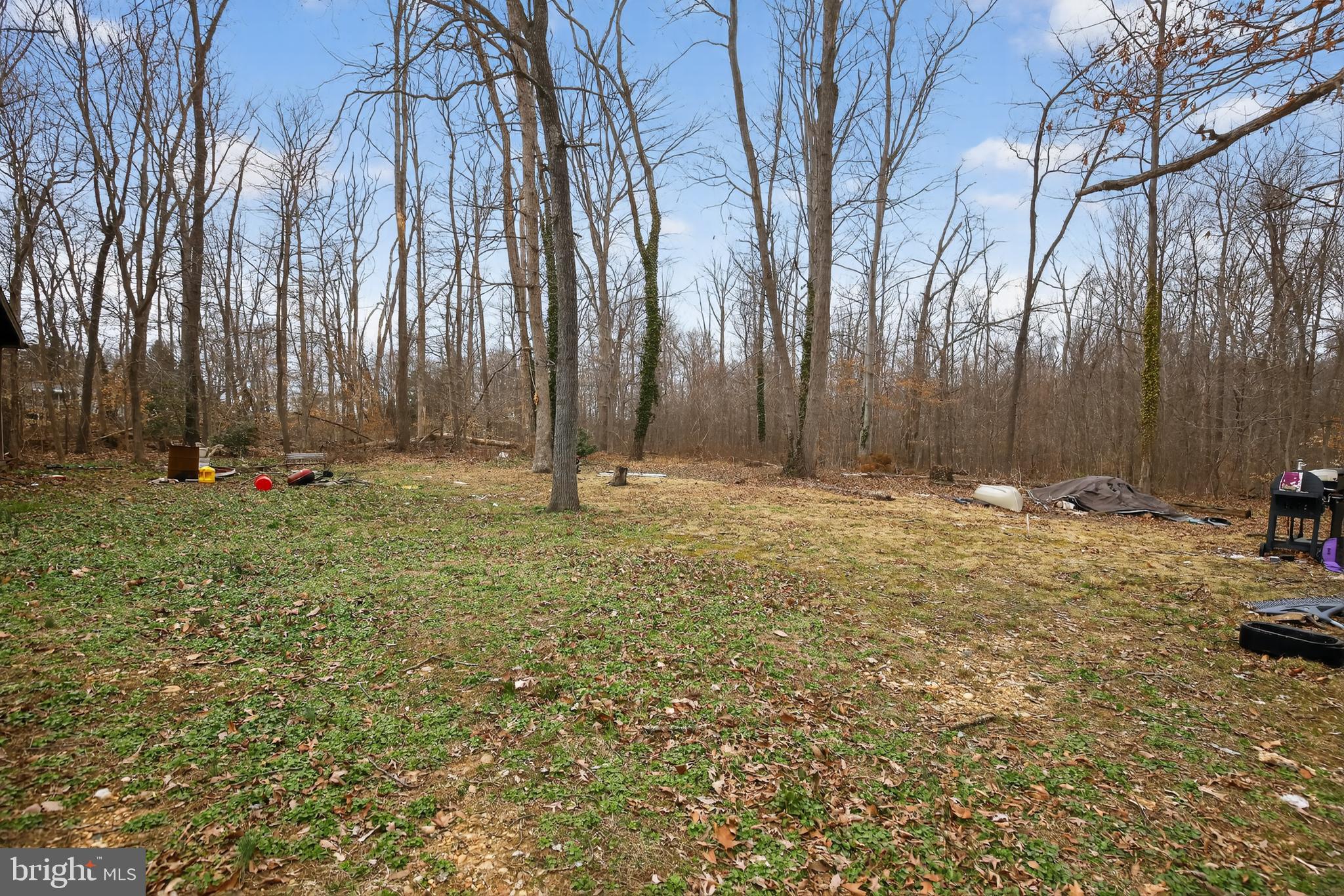 WEBSTER VILLAGE - Residential