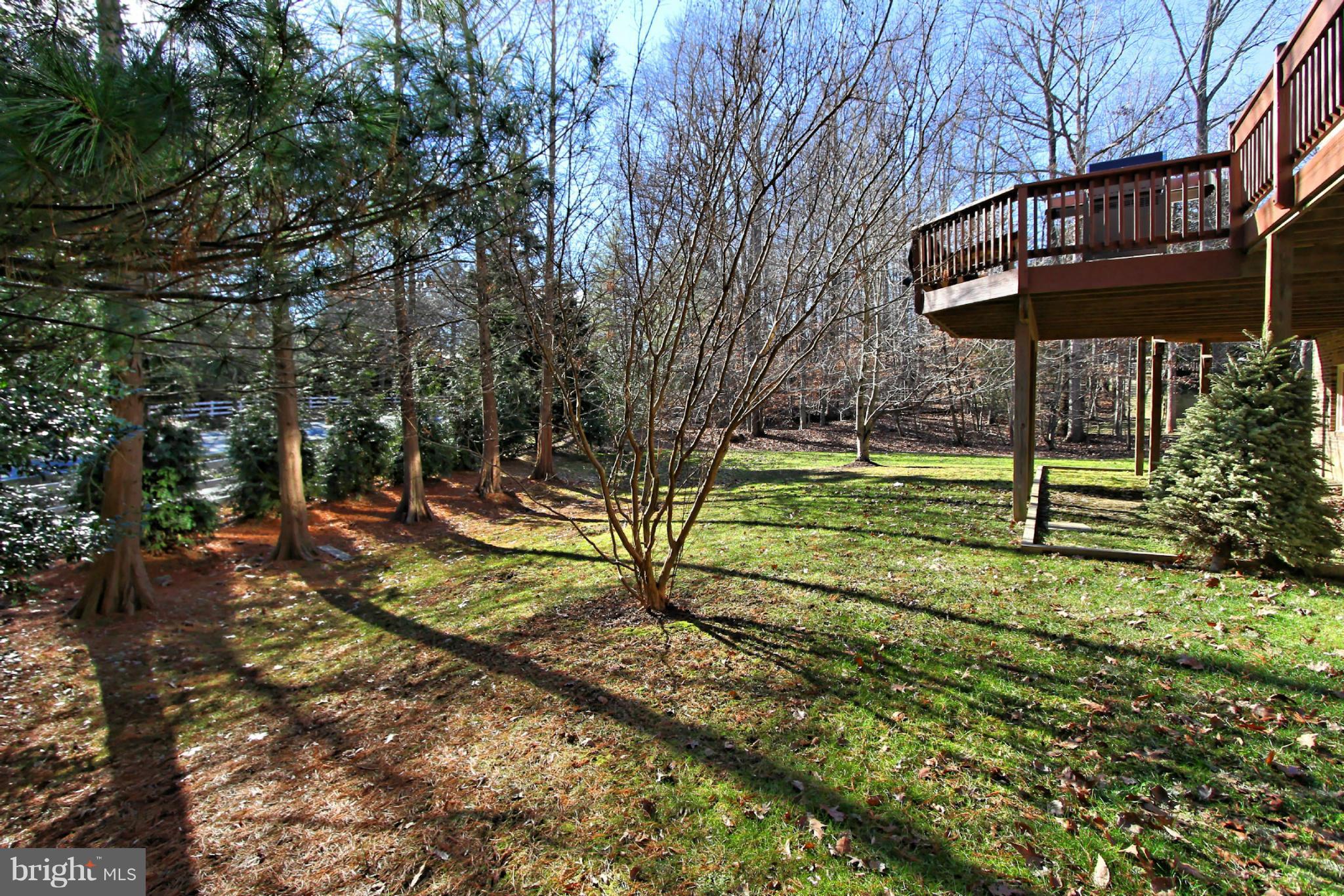 AVENEL - Residential Lease