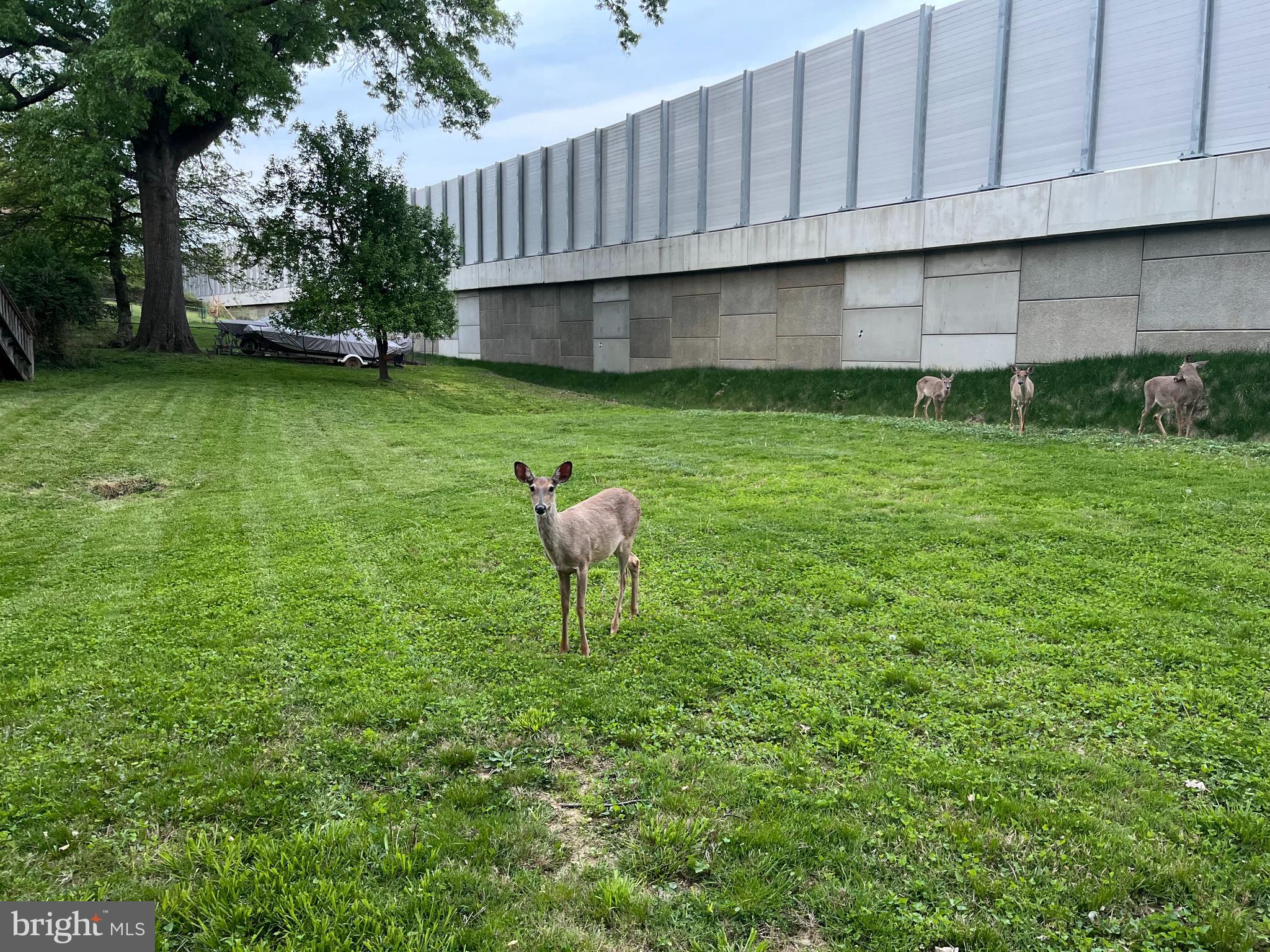 DUNN LORING WOODS - Residential