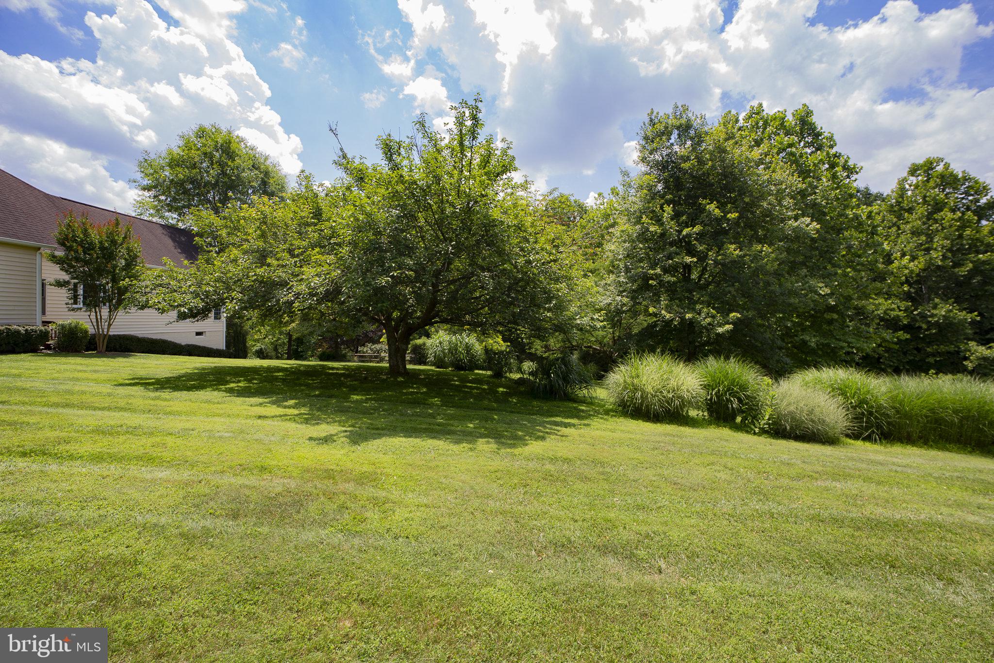 ROLLINMEAD - Residential