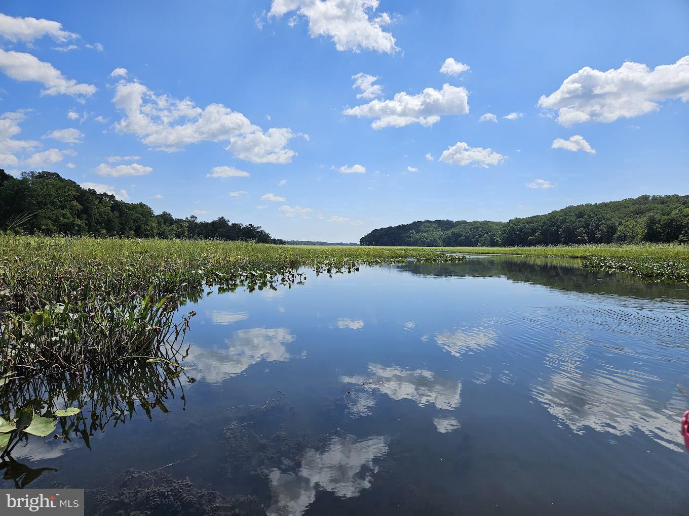 STONE RIVER - Residential Lease