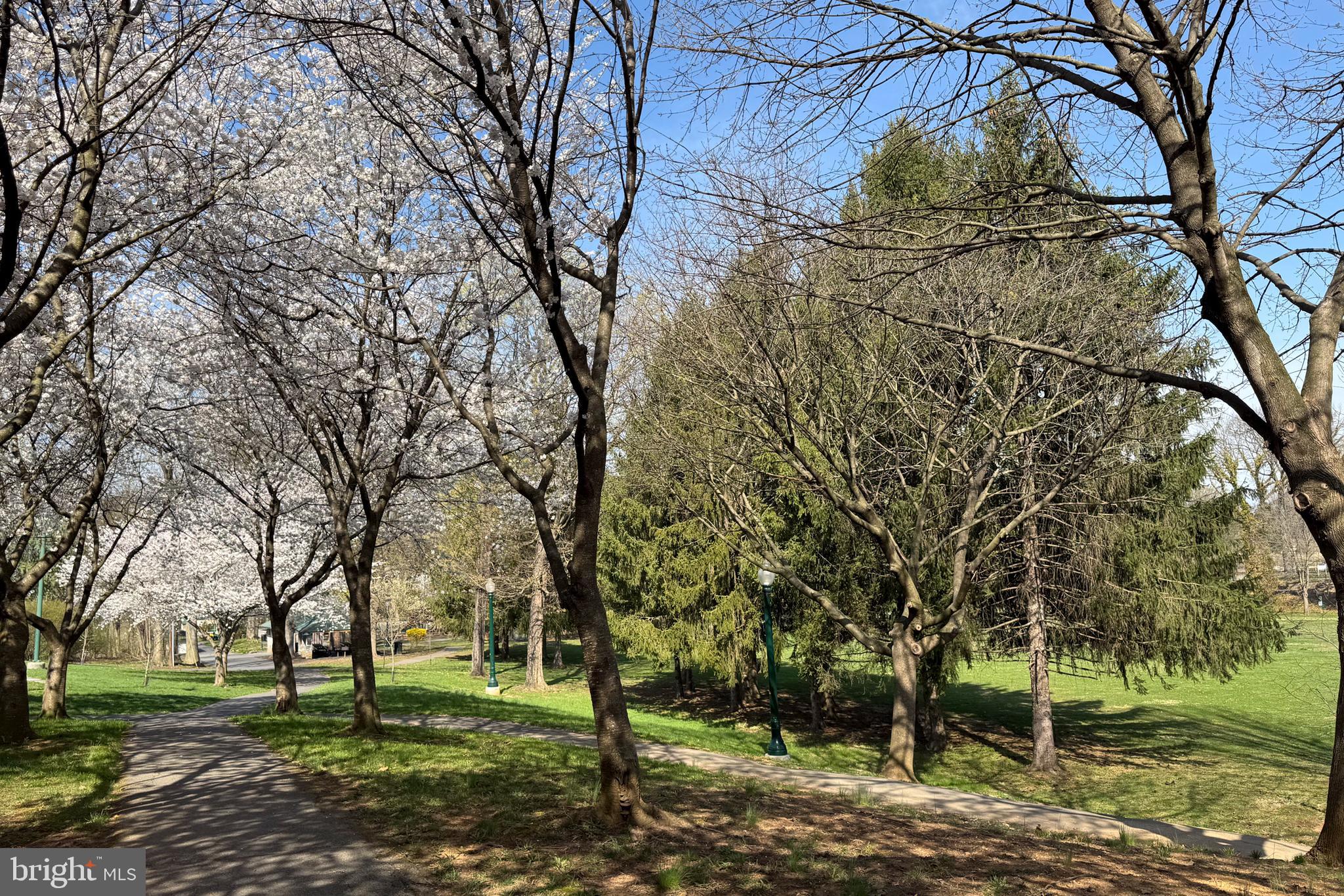 PARK OVERLOOK TOWNHOMES - Residential