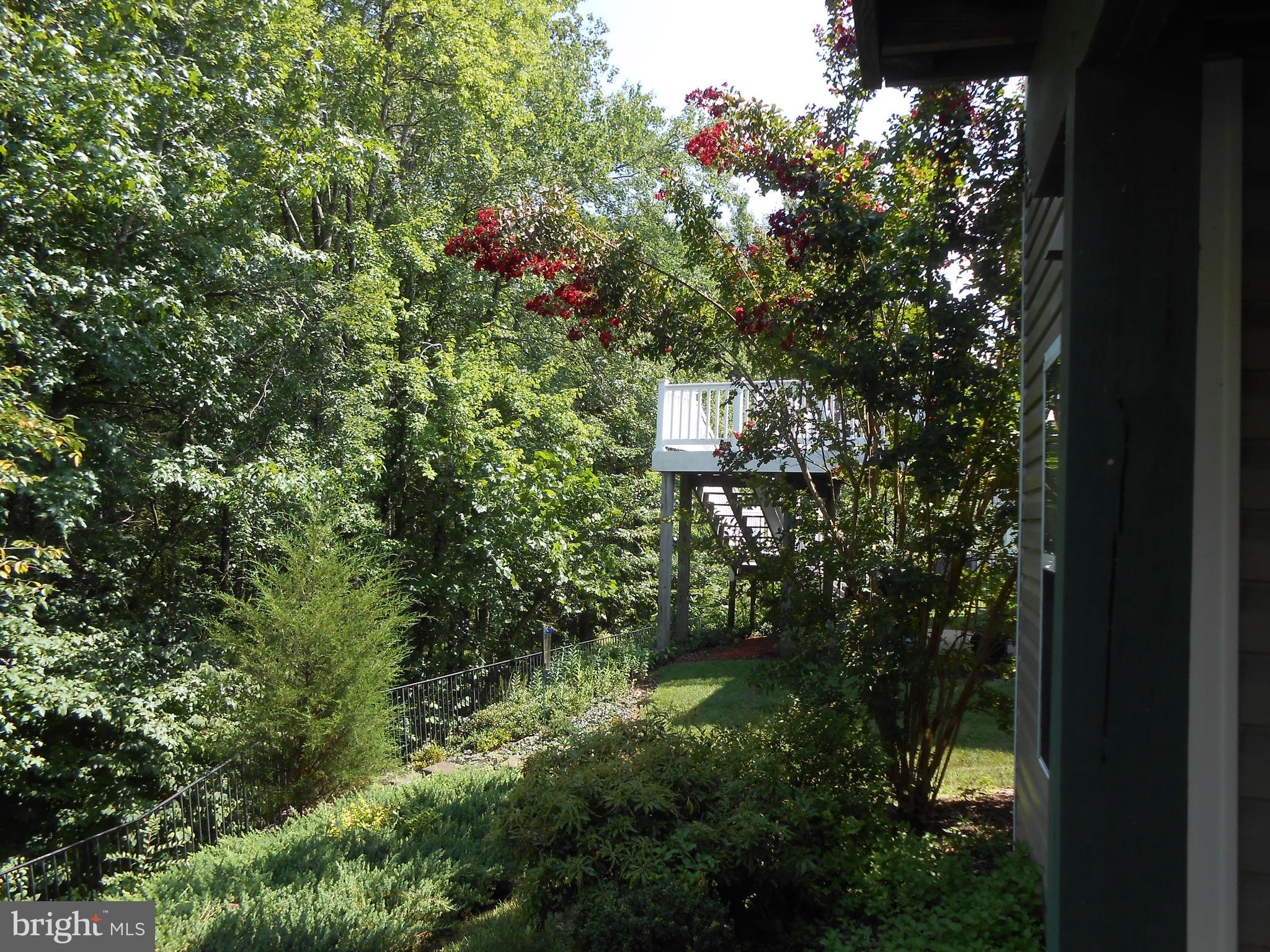 FALLS RUN - Residential