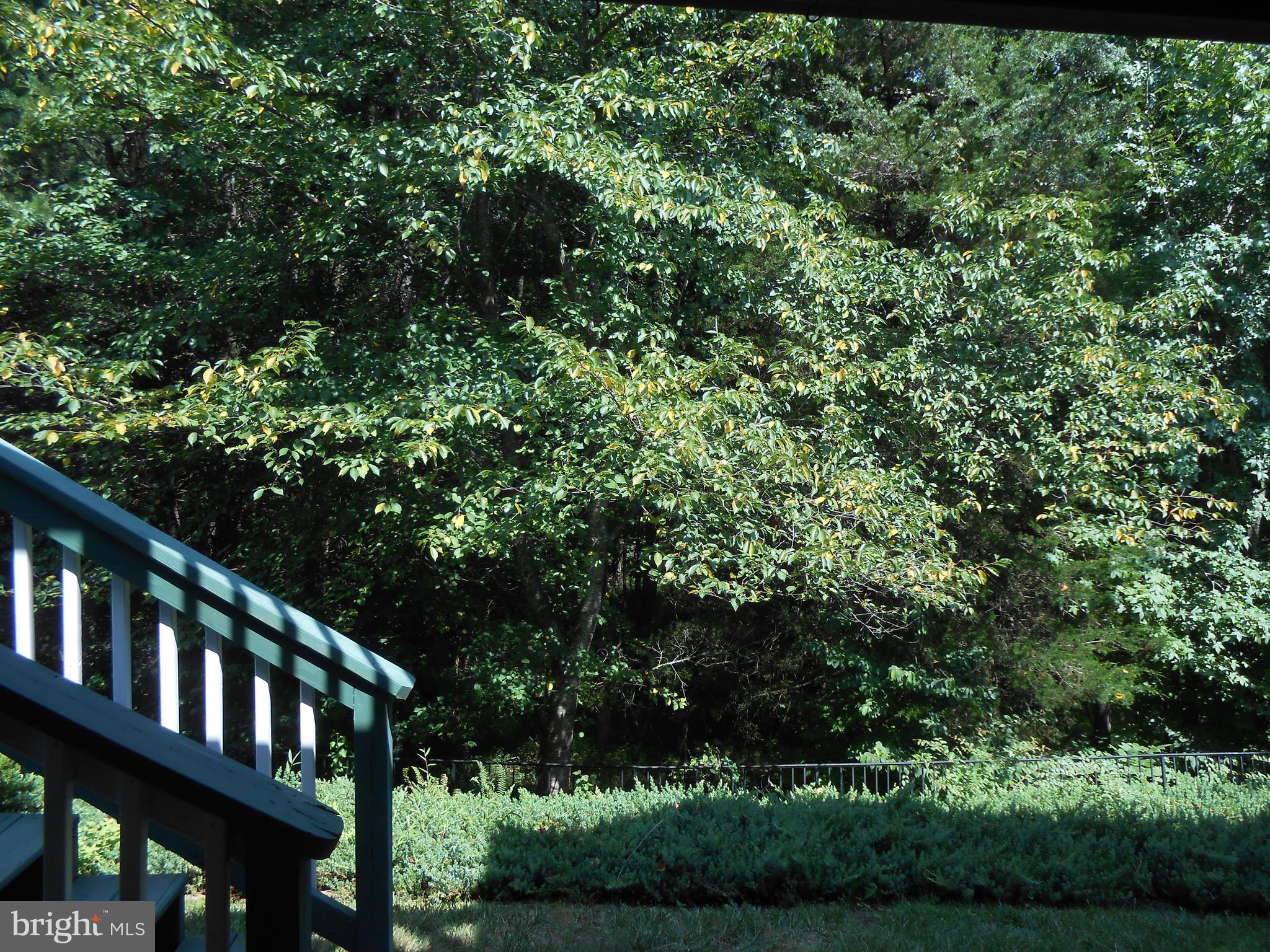 FALLS RUN - Residential