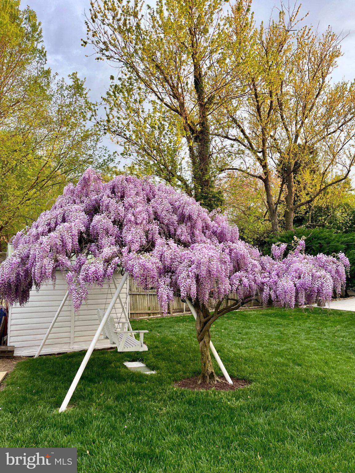 5909 RIDGE VIEW DRIVE