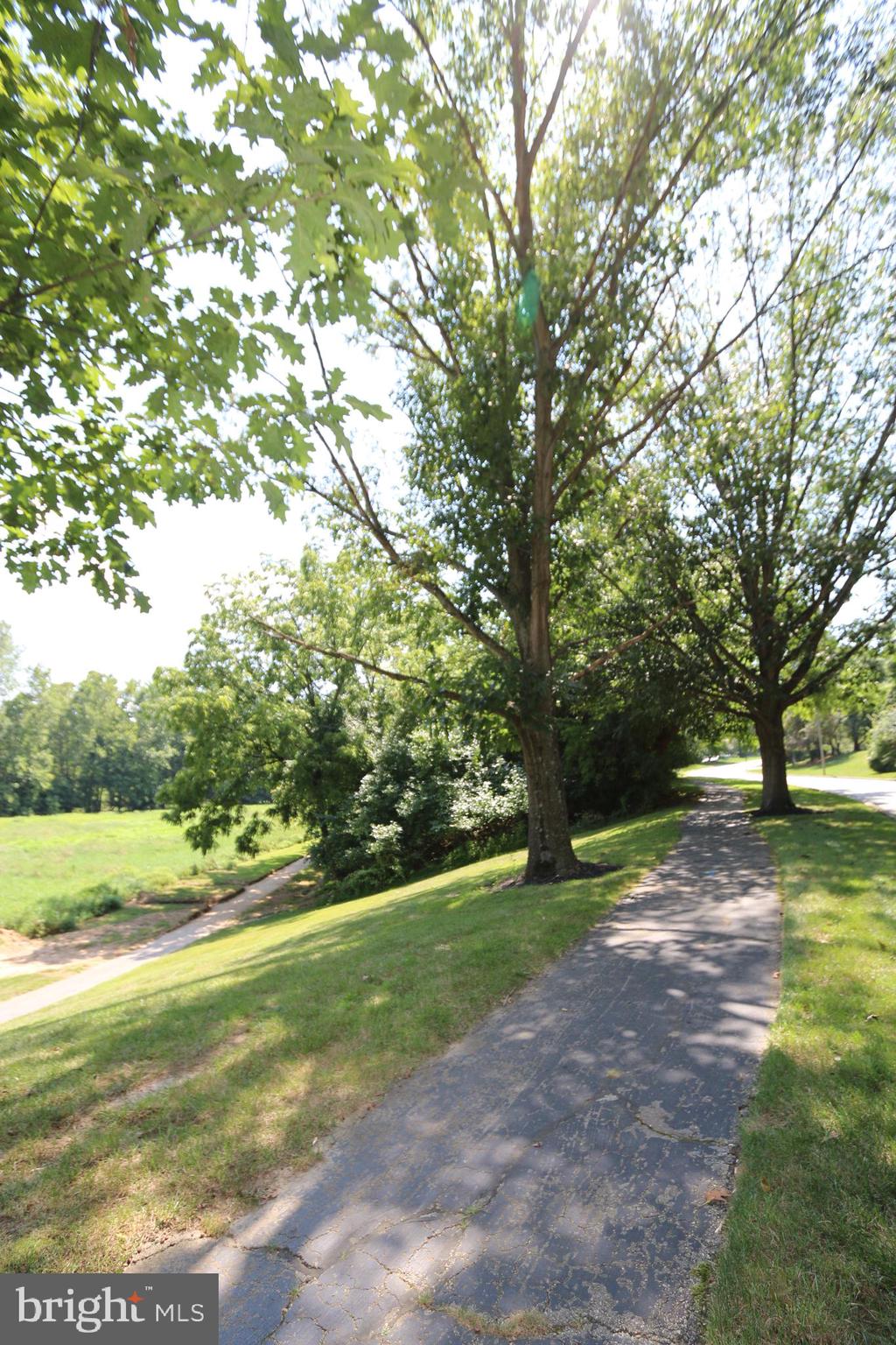 MOUNTAINVIEW - Residential Lease