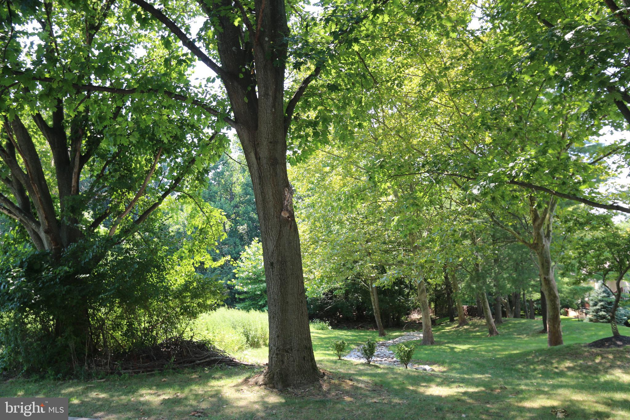 MOUNTAINVIEW - Residential Lease