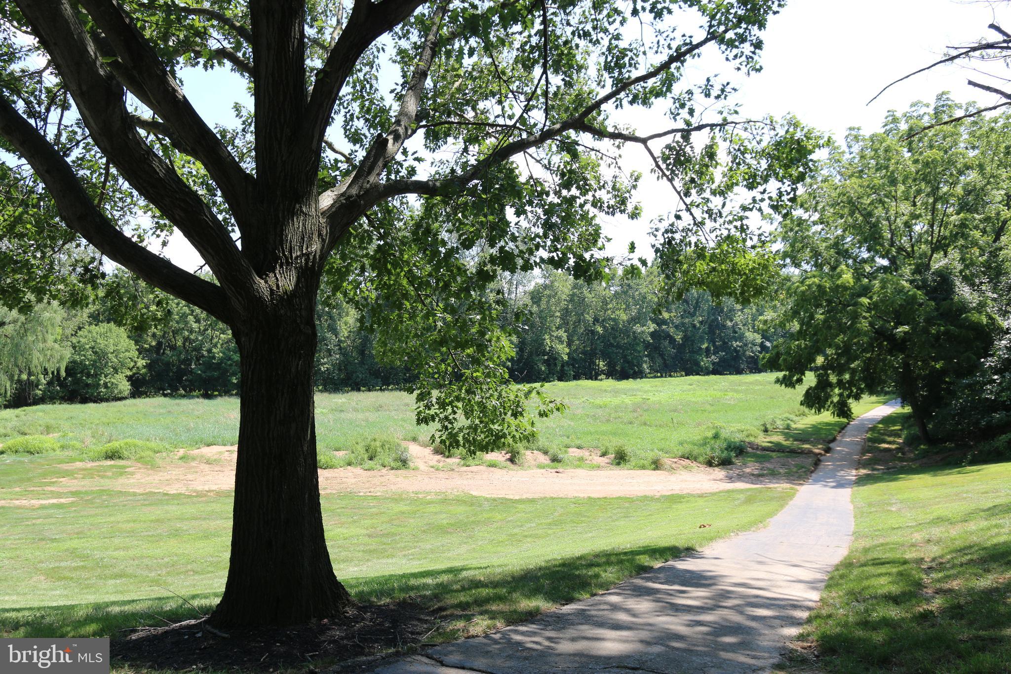 MOUNTAINVIEW - Residential Lease