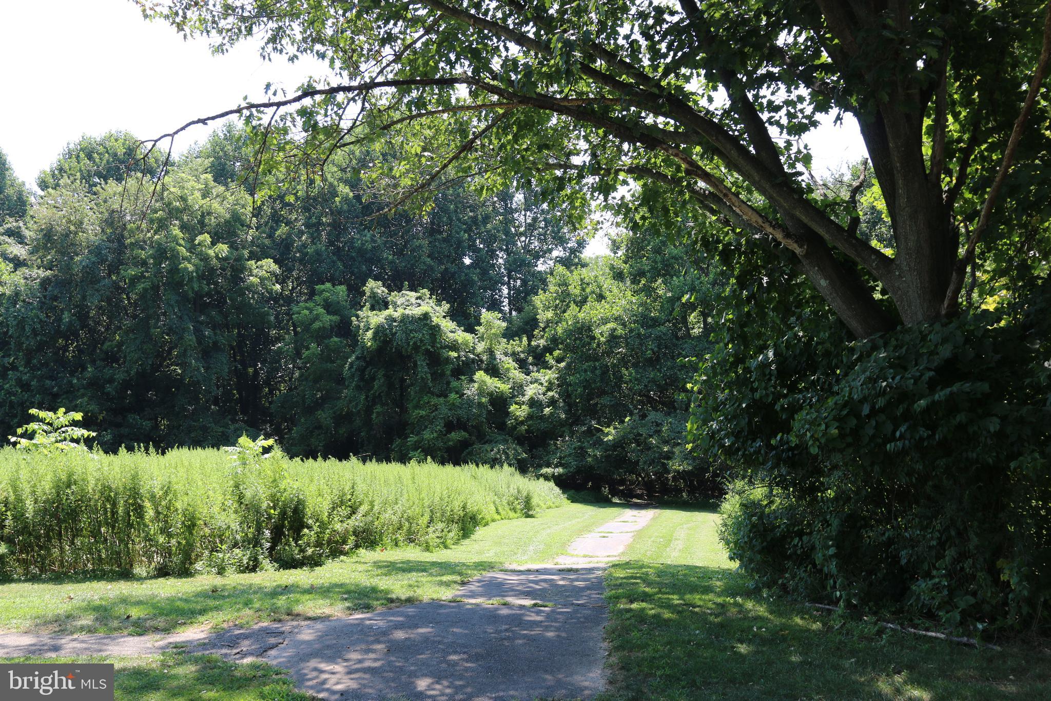 MOUNTAINVIEW - Residential Lease