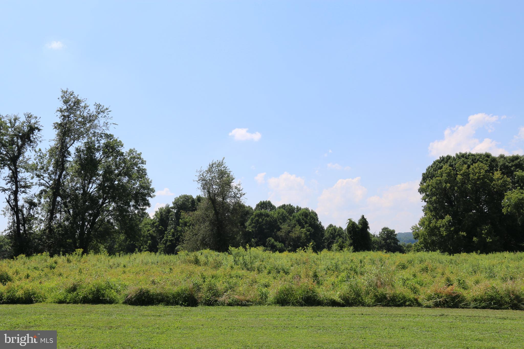 MOUNTAINVIEW - Residential Lease