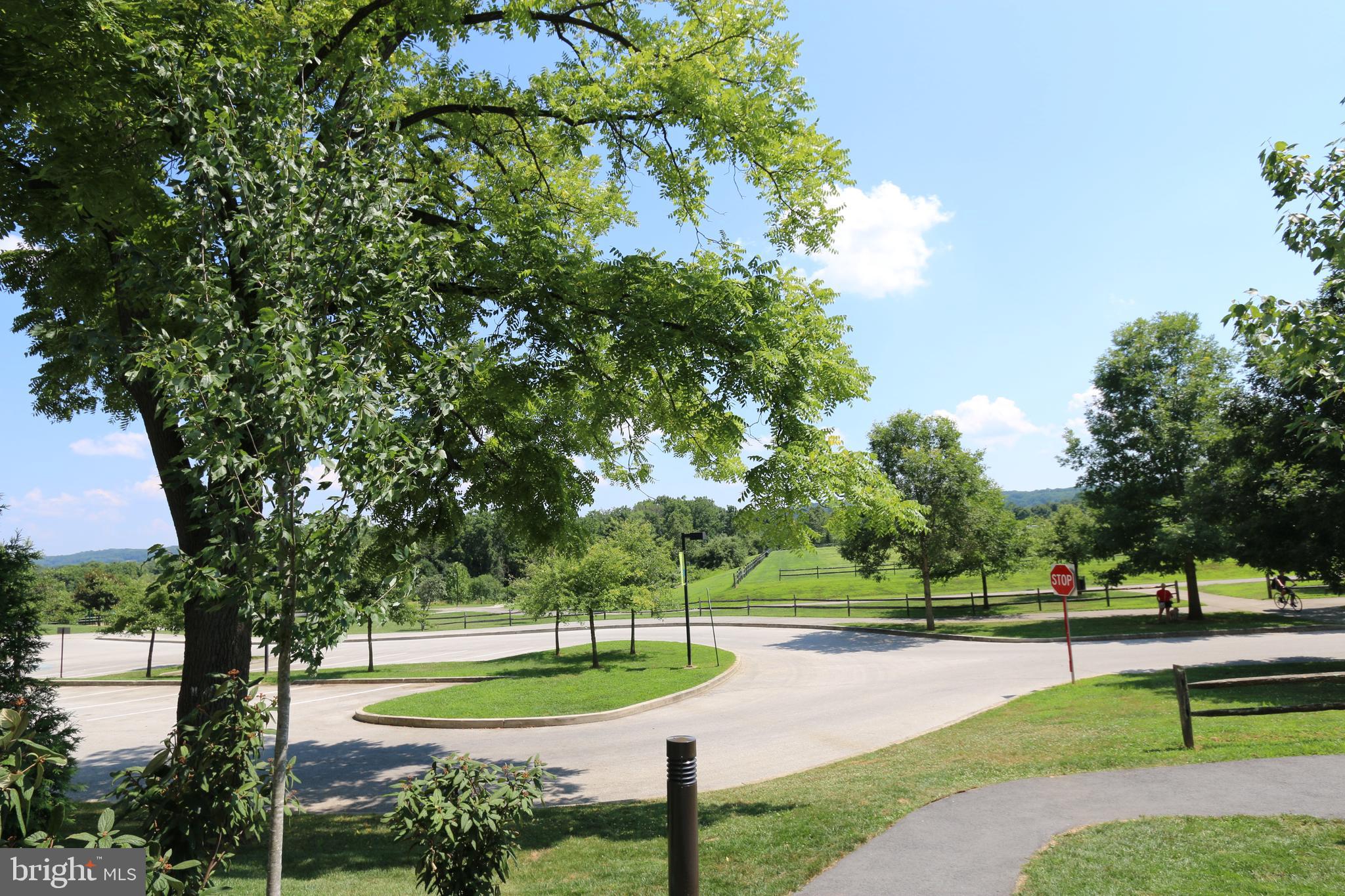 MOUNTAINVIEW - Residential Lease