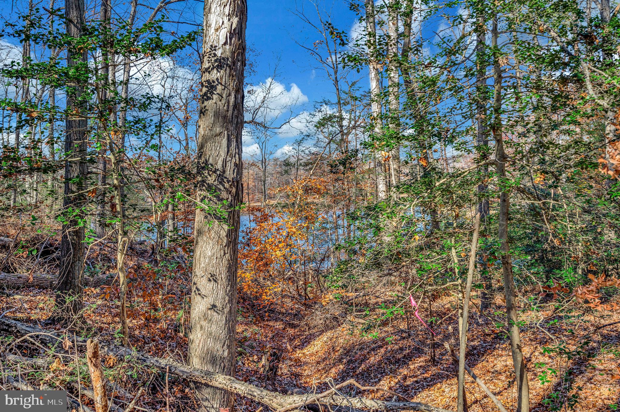 LAKE ESTATES - Residential