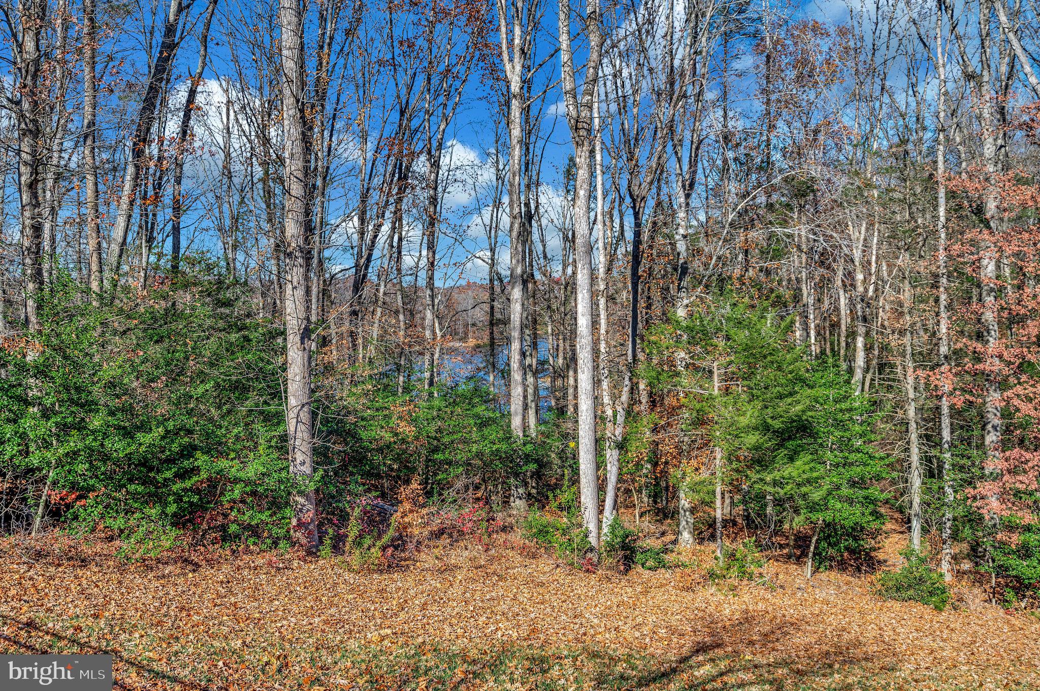 LAKE ESTATES - Residential