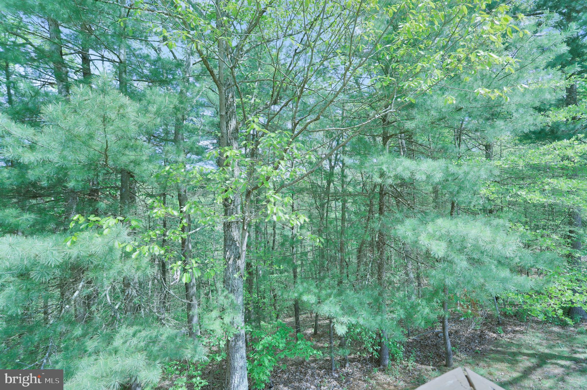 CHESTNUT GROVE - Residential