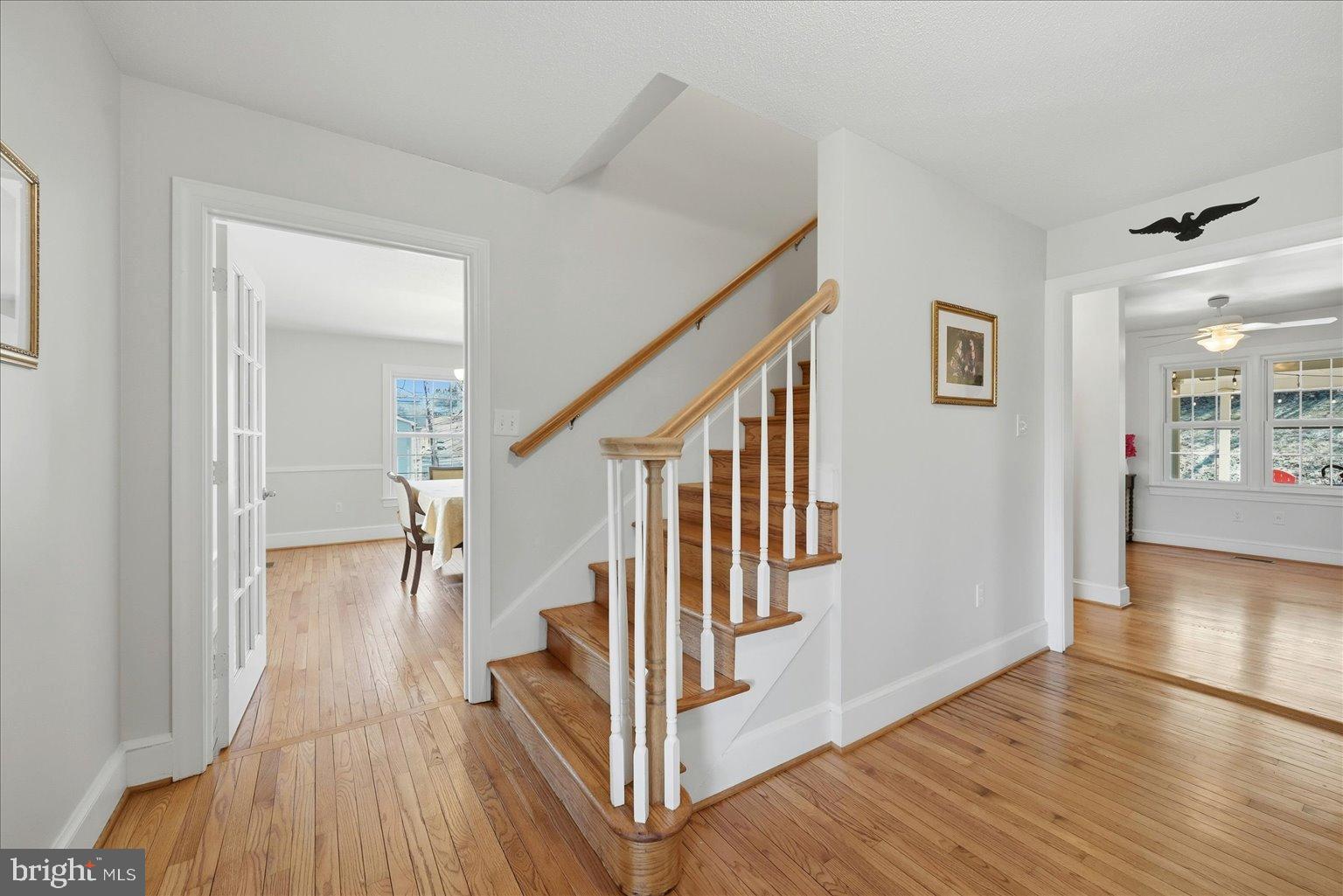 HOLLY HILL - Residential