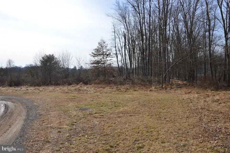 Orwigsburg, Pennsylvania 17961, United States, ,Land,Active,63630