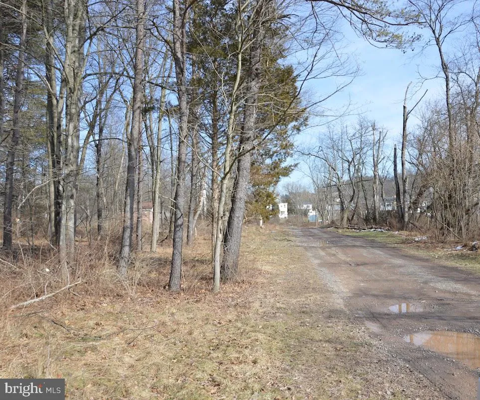 Orwigsburg, Pennsylvania 17961, United States, ,Land,Active,63630