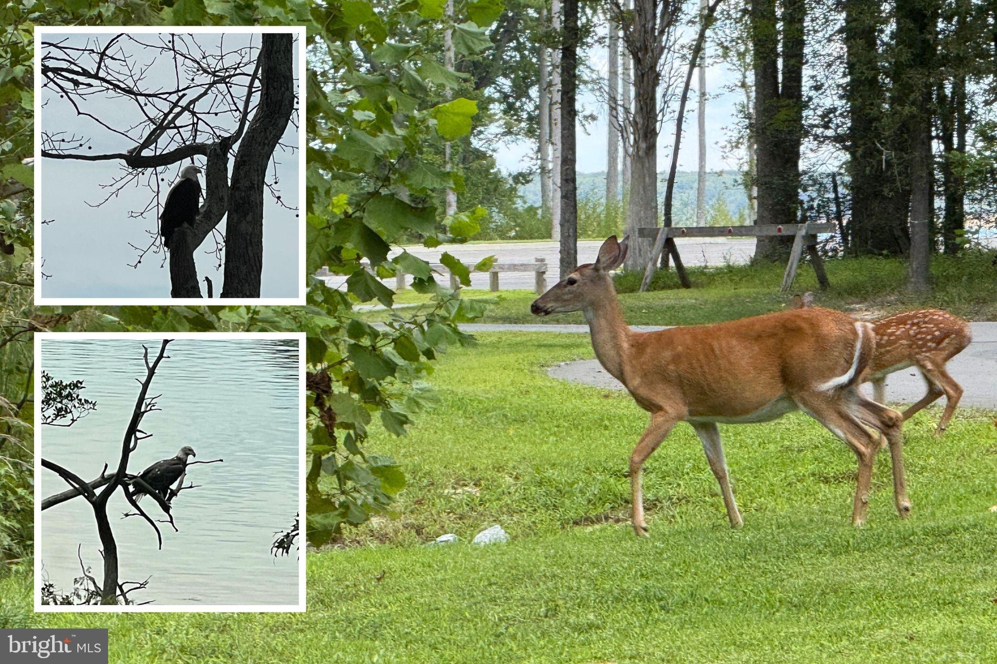 WIDEWATER BEACH - Residential