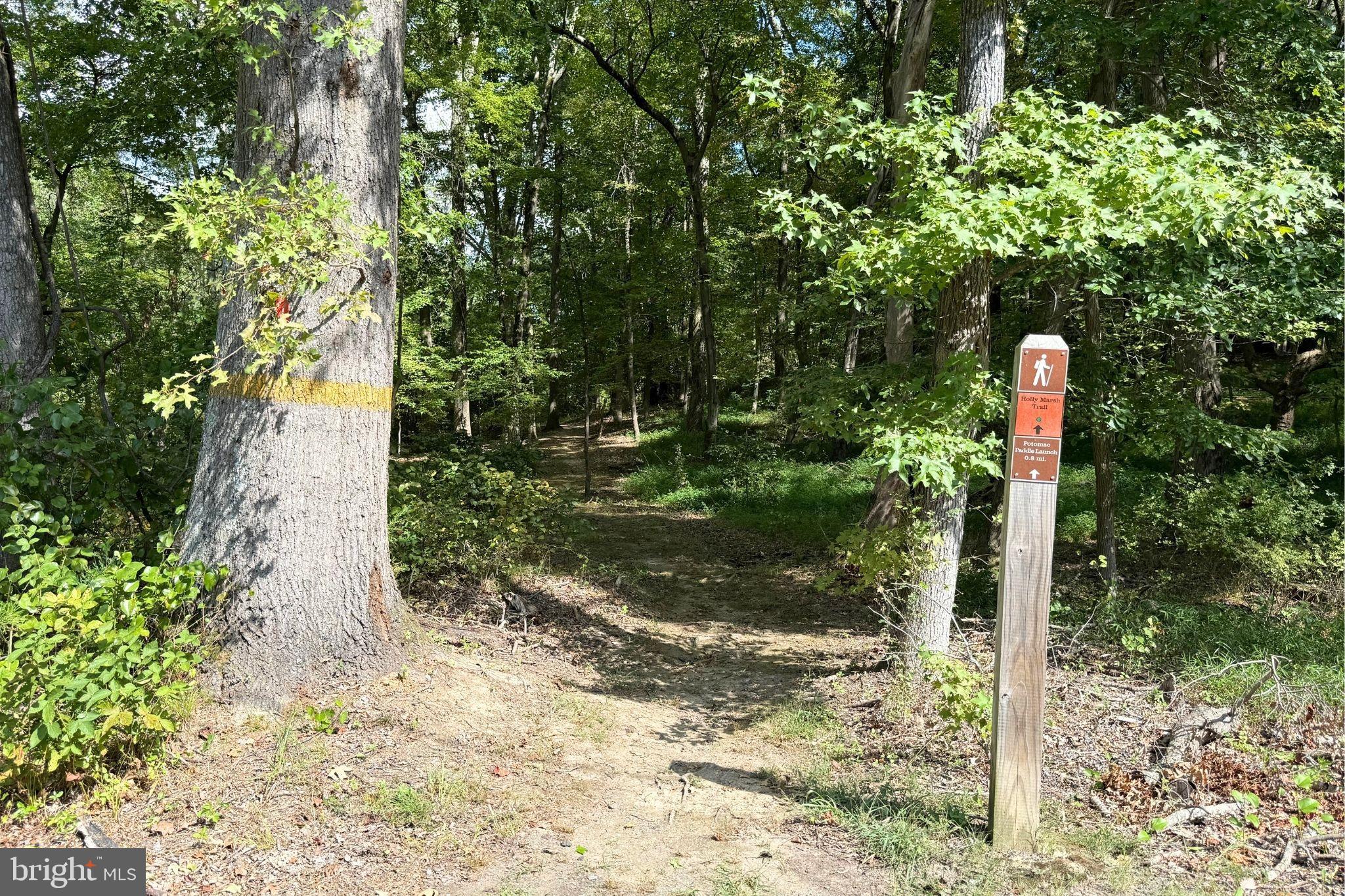 WIDEWATER BEACH - Residential