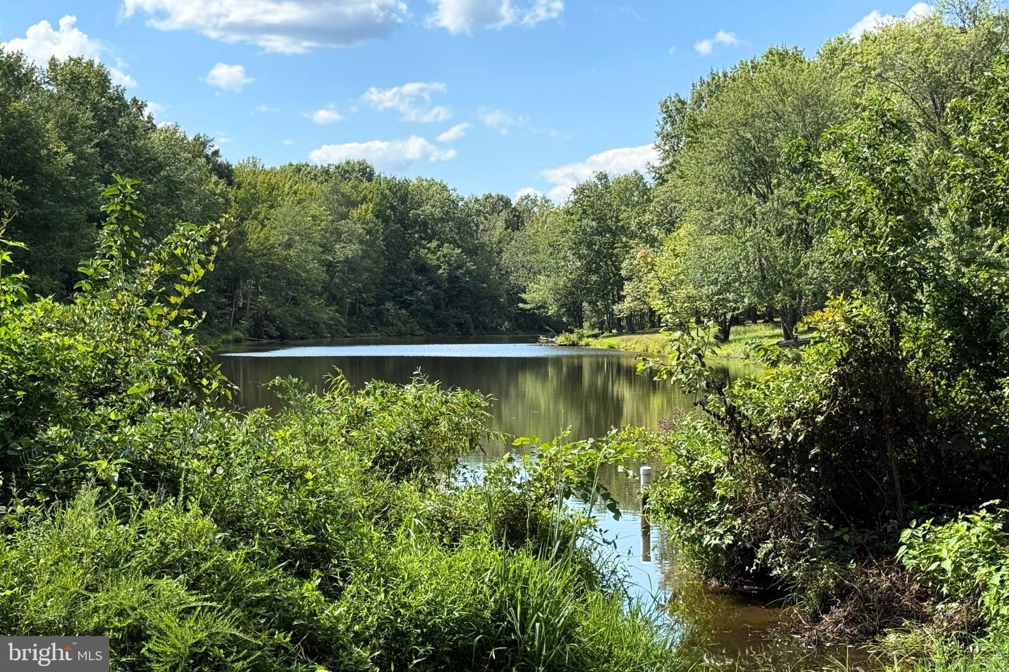 WIDEWATER BEACH - Residential